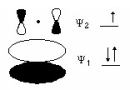 Which species is represented by the following distribution of π electrons in the molecular orbitals and energy levels diagram?