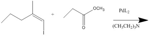 Provide the major organic product of the following reactions.