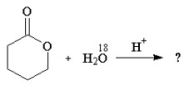 <strong>What is the product of the following reaction? </strong> A)I B)II C)III D)IV E)V