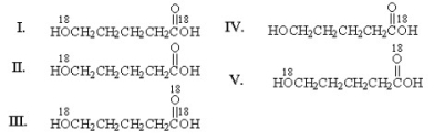 <strong>What is the product of the following reaction? </strong> A)I B)II C)III D)IV E)V
