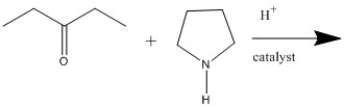 Provide the major organic product of the reaction shown.