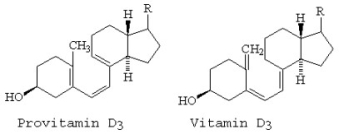 Which of the following best explains the rearrangement when provitamin D<sub>3</sub> rearranges to vitamin D<sub>3</sub>?