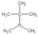 <strong>Provide the common name of the compound. </strong> A)tert-butyldimethylamine B)isobutyldimethylamine C)neobutyldimethylamine D)sec-butyldimethylamine E)n-butyldimethylamine