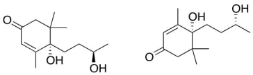 What is the relationship between the compounds below?  