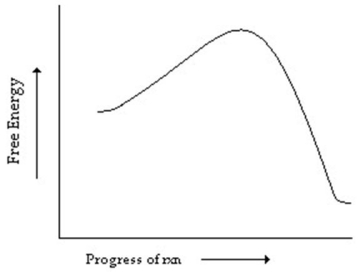 <strong>Which of the following correctly describes the reaction whose reaction coordinate diagram is shown? </strong> A)endergonic with no transition state B)exergonic with no transition state C)endergonic with a transition state D)exergonic with a transition state E)endergonic with an intermediate