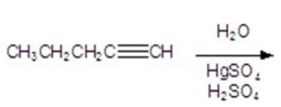 <strong>Give the major organic product for the reaction. </strong> A) B) C) D)CH<sub>3</sub>CH<sub>2</sub>CH<sub>2</sub>CH CHOH E)