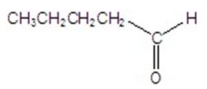 <strong>Give the major organic product for the reaction. </strong> A) B) C) D)CH<sub>3</sub>CH<sub>2</sub>CH<sub>2</sub>CH CHOH E)
