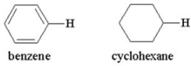 Which hydrogens are more acidic,those of benzene or those of cyclohexane? Why?