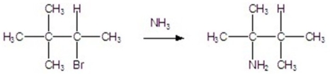 Identify the mechanism.  
