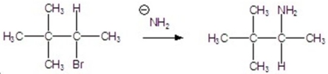 Identify the mechanism.  