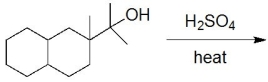 How many distinct products are formed in this reaction  