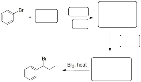 Fill in the empty boxes in the reaction scheme below.  
