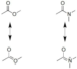   The resonance contributor of the amide is more stable than ester because nitrogen is less electronegative than oxygen and thus,can better accommodate the positive charge.
