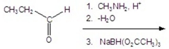 <strong>Give the product for the following reaction. </strong> A)CH<sub>3</sub>CH<sub>2</sub>NHCH<sub>3</sub> B)CH<sub>3</sub>CH<sub>2</sub>CH<sub>2</sub>OH C) D)CH<sub>3</sub>CH<sub>2</sub>CH<sub>2</sub>NHCH<sub>3</sub> E)CH<sub>3</sub>CH<sub>2</sub>CH<sub>2</sub>N(CH<sub>3</sub>)<sub>2</sub>