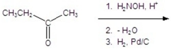 <strong>Give the product for the following reaction. </strong> A)CH<sub>3</sub>CH<sub>2</sub>CH<sub>2</sub>NHCH<sub>3</sub> B) C) D)CH<sub>3</sub>CH<sub>2</sub>CH<sub>2</sub>CH<sub>3</sub> E)