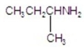 <strong>Give the product for the following reaction. </strong> A)CH<sub>3</sub>CH<sub>2</sub>CH<sub>2</sub>NHCH<sub>3</sub> B) C) D)CH<sub>3</sub>CH<sub>2</sub>CH<sub>2</sub>CH<sub>3</sub> E)