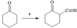 <strong>How would you accomplish the following conversion?  </strong> A)H<sup>+</sup>/H<sub>2</sub>O; HC   N B)(<sup>-</sup>OH/NaC   N) C)Br<sub>2</sub>/H<sup>+</sup>,H<sub>2</sub>O; NaC   N D)HBr; NaC   N E)LiAlH<sub>4</sub>; HC   N; KMnO<sub>4</sub> <div style=padding-top: 35px> 