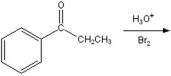 Give the major product for the following reaction.  