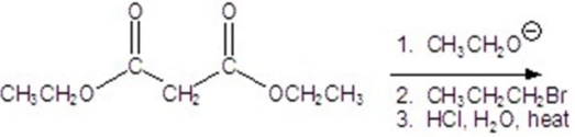 Give the major product for the following reaction.  