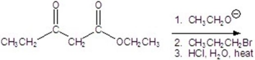 Give the major product for the following reaction.  