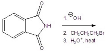 <strong>Give all organic products for the following reaction.You may choose more than one answer. </strong> A) B) C) D) E)