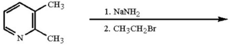 What is the major organic product of the following reaction?