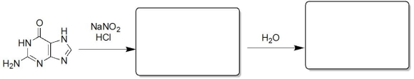 Fill in the empty boxes.  