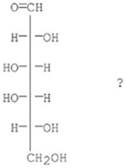 Which of the following best describes the sugar D-galactose?