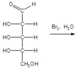 Give the major product(s)for the following reaction.  