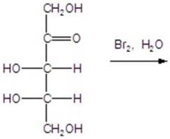 Give the major product(s)for the following reaction.  