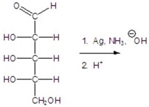 Give the major product(s)for the following reaction.  