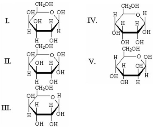 Which of the following is the Haworth projection of β-D-galactopyranose?