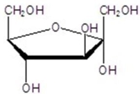Give the name for the following structure.  