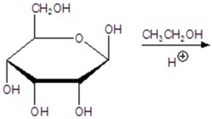 Give the major product(s)for the following reaction.You may choose more than one answer.