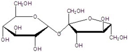Give the common name for the following structure.  