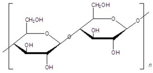 Name the following structure.  