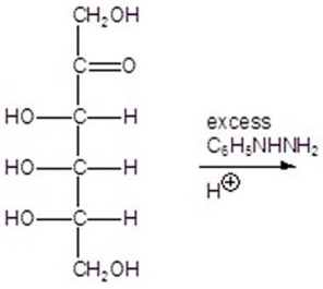 Give the major product(s)for the following reaction.  