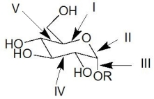 Which of the following represents a glycosidic bond?  