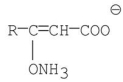 <strong>Which of the following molecules is the skeletal structure of an amino acid?</strong> A) B) C) D) E)