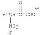 <strong>Which of the following molecules is the skeletal structure of an amino acid?</strong> A) B) C) D) E)