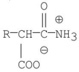 <strong>Which of the following molecules is the skeletal structure of an amino acid?</strong> A) B) C) D) E)