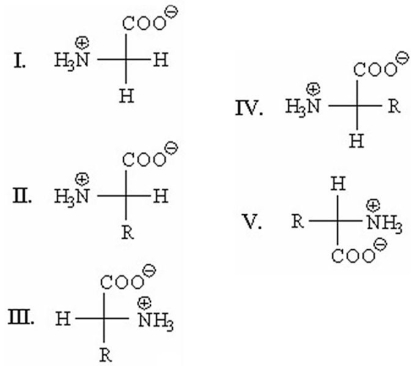 <strong>Which of the following is an L-amino acid? </strong> A)I B)II C)III D)IV E)V