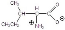 Name the following compound.  