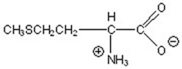 <strong>Name the following compound. </strong> A)cysteine B)threonine C)methionine D)serine E)asparagine