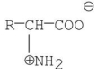<strong>Which of the following best represents the structure of an amino acid in basic solution (pH = 11)?</strong> A) B) C) D) E)