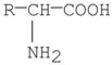 <strong>Which of the following best represents the structure of an amino acid in basic solution (pH = 11)?</strong> A) B) C) D) E)