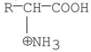 <strong>Which of the following best represents the structure of an amino acid in basic solution (pH = 11)?</strong> A) B) C) D) E)
