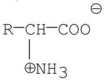 <strong>Which of the following best represents the structure of an amino acid in basic solution (pH = 11)?</strong> A) B) C) D) E)