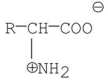 <strong>Which of the following is a zwitterion?</strong> A) B) C) D) E)