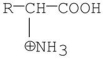 <strong>Which of the following is a zwitterion?</strong> A) B) C) D) E)